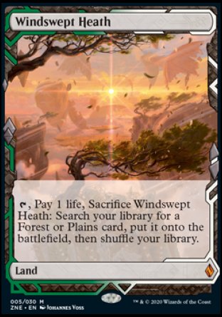 Windswept Heath proxy card MTG Zendikar Rising Expeditions