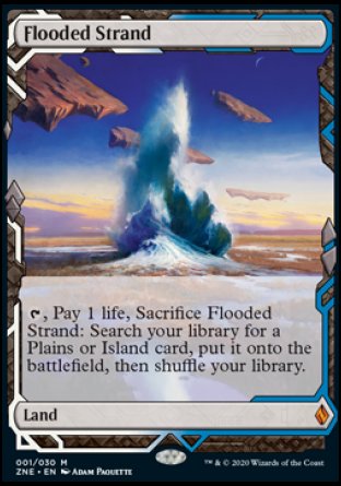 Flooded Strand proxy card MTG Zendikar Rising Expeditions