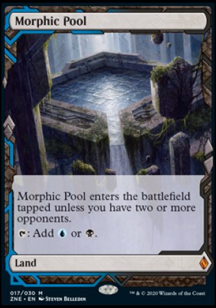 Morphic Pool proxy card MTG Zendikar Rising Expeditions