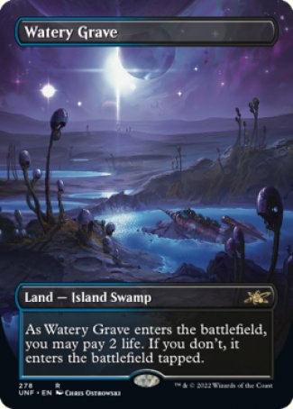 Watery Grave proxy card MTG Unfinity