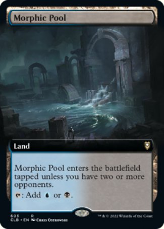 Morphic Pool proxy card MTG Commander Legends: Battle for Baldur's Gate